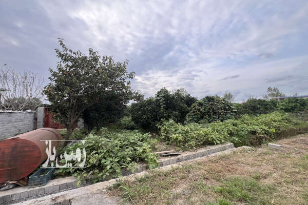 زمین مسکونی۳۰۰ متر روستای کوسه رز-2