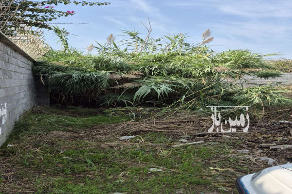 زمین مسکونی ویلایی ۲۲۵متری بابلسر بهنمیر کاله-3