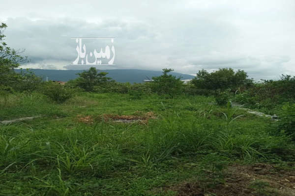 زمین در گیل کلا چالوس ۱۸۵ متر-1