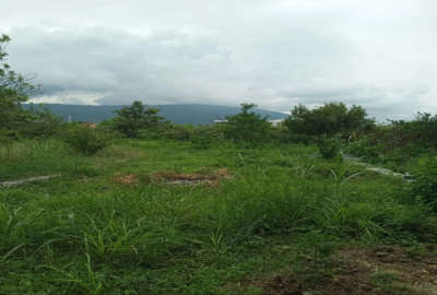 زمین در گیل کلا چالوس ۱۸۵ متر