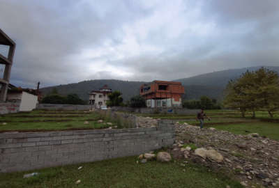 زمین جنگلی چالوس زوات غرب ۳۰۰ متر