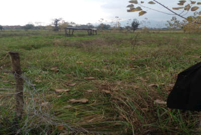 زمین در روستای درخانه بر خیابان اصلی ۷۰۰ متر