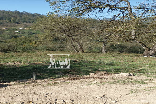 زمین باغی بابل بندپی شرقی روستای گاوزن محله ۱۰۰۰ متر-2
