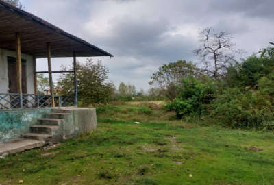 زمین کشاورزی ویلا محوطه چاه رودسر ۴ هکتار