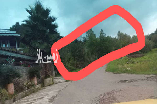 باغ مرکبات و میوه ارتفاعات لنگرود ۳۲۱۷ متر-2