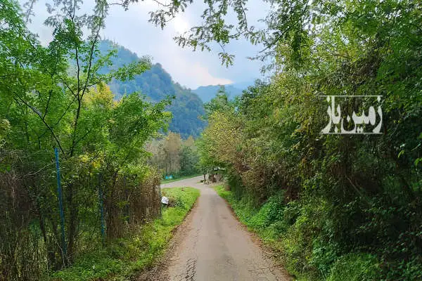 باغ مرکبات و میوه ارتفاعات لنگرود ۳۲۱۷ متر - تصویر 3