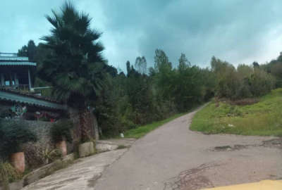 باغ مرکبات و میوه ارتفاعات لنگرود ۳۲۱۷ متر