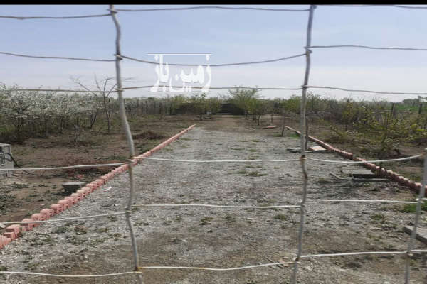 باغچه ۵۰۰ متر روستای ابراهیم بیگی ساوجبلاغ-1