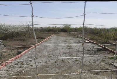 باغچه ۵۰۰ متر روستای ابراهیم بیگی ساوجبلاغ