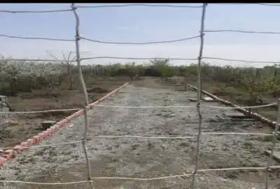باغچه ۵۰۰ متر روستای ابراهیم بیگی ساوجبلاغ