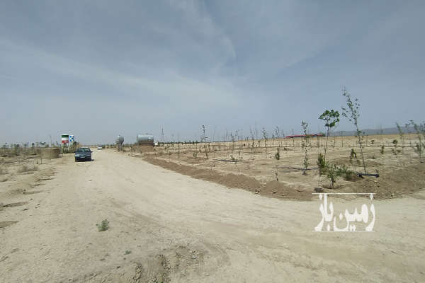 زمین کشاورزی در حسن آباد فشافویه روستای زیوان ۵۵۵ متر-1