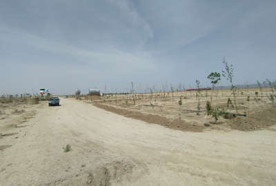 زمین کشاورزی در حسن آباد فشافویه روستای زیوان ۵۵۵ متر