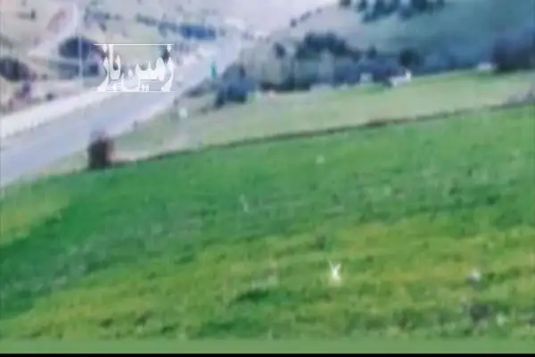 زمین کشاورزی در نمین روستای خانقاه علیا ۷۰۰۰ متر - تصویر 2