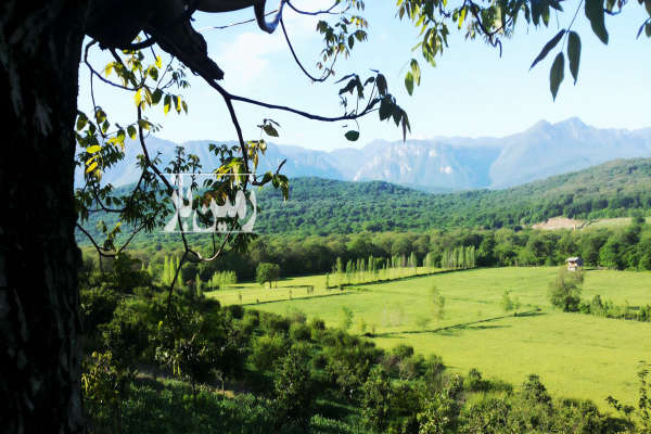 زمین مناسب ساخت خانه باغ سعد آباد ۲۰۰۰ متر-3