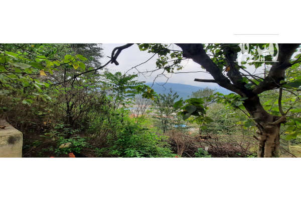 باغ ۶۰۰ متر همراه خانه با چشم انداز عالی در زیراب-3