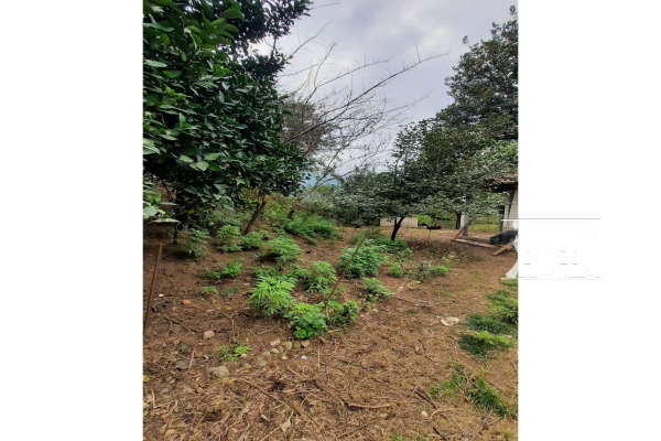 باغ ۶۰۰ متر همراه خانه با چشم انداز عالی در زیراب-4