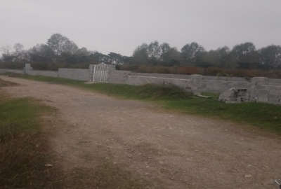 زمین باغی امامزاده عبدالله روستای تلرون ۲۰۰ متر