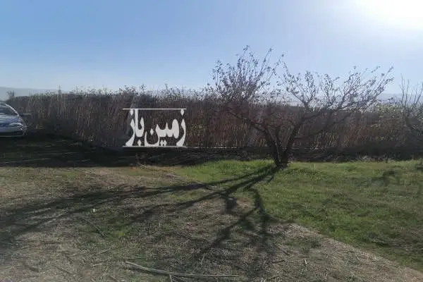باغ آلو شابلون ۱۰ساله روستای دودانگه ۳۰۰ متر - تصویر 3