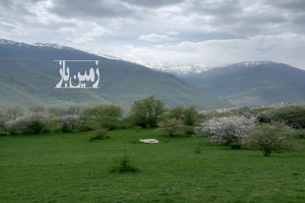 زمین تنکابن دوهزار برسه گلستان محله ۳۱۲ متر-1