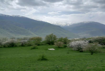 زمین تنکابن دوهزار برسه گلستان محله ۳۱۲ متر