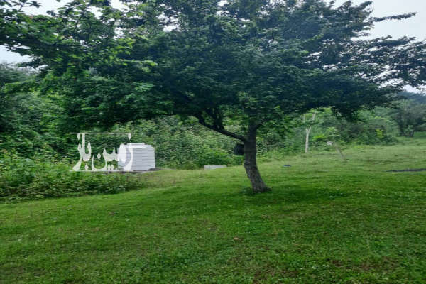 باغ ۴۰۰۰ متری جنگلی سوادکوه شمالی شیرگاه روستای منگل-1