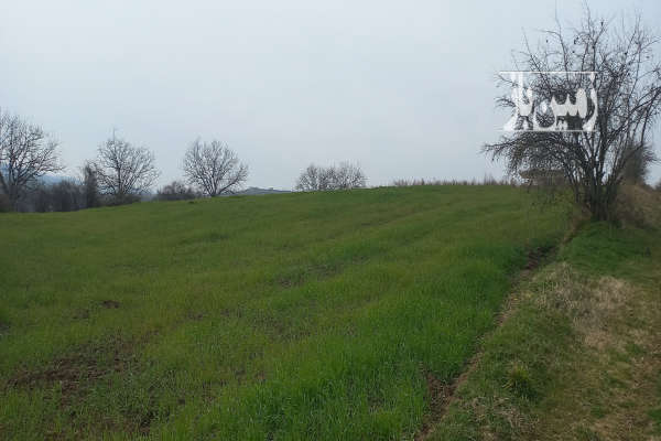 زمین ۳۰۰۰ متری واقع در شهر پایین هولار-1