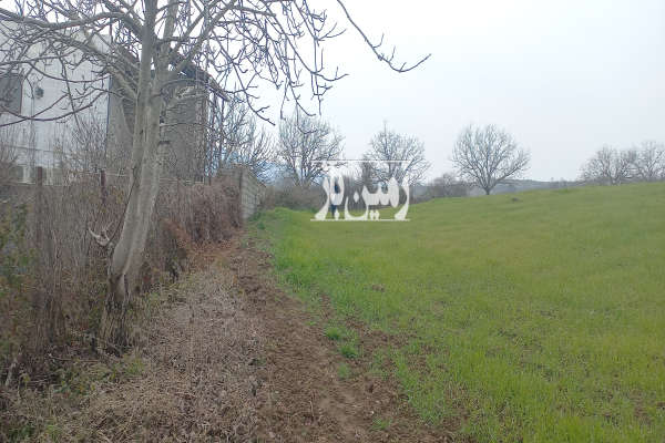 زمین ۳۰۰۰ متری واقع در شهر پایین هولار-3