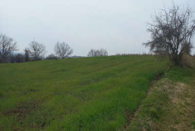 زمین ۳۰۰۰ متری واقع در شهر پایین هولار