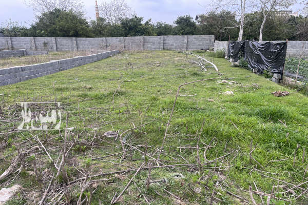 زمین مسکونی کیاکلا جاده بهنمیر روستای رکن کلا ۲۳۰ متر-3