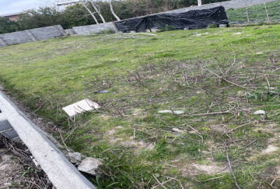 زمین مسکونی کیاکلا جاده بهنمیر روستای رکن کلا ۲۳۰ متر