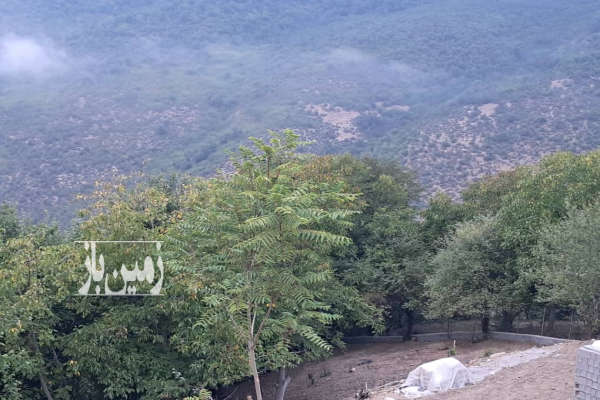 زمین ییلاقی در روستای ولیک بن ۱۲۰ متر-3