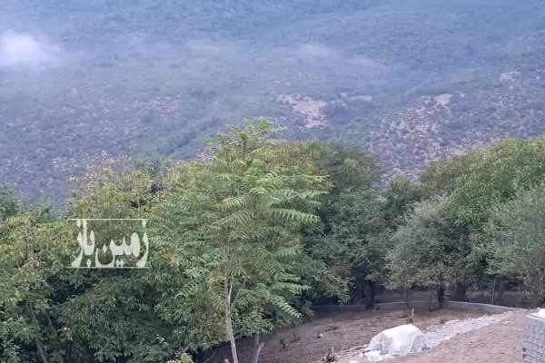 زمین ییلاقی در روستای ولیک بن ۱۲۰ متر - تصویر 2