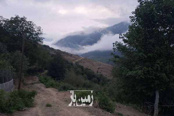 زمین ییلاقی در روستای ولیک بن ۱۲۰ متر-4