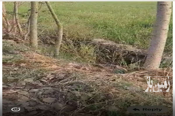 زمین کشاورزی بابل روستای بیجی کلا ۷۲۰۰ متر-1