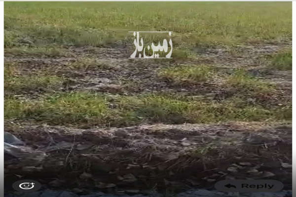 زمین کشاورزی بابل روستای بیجی کلا ۷۲۰۰ متر-2