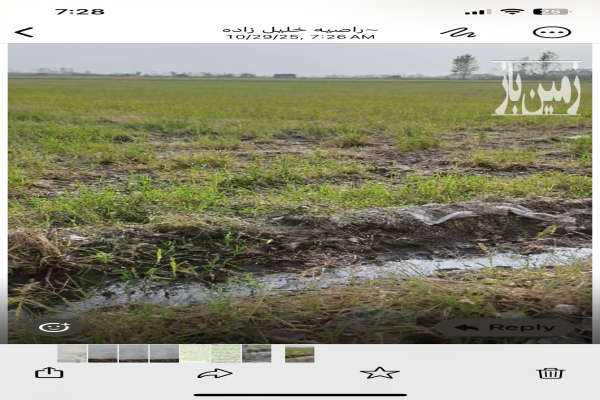 زمین کشاورزی بابل روستای بیجی کلا ۷۲۰۰ متر-3