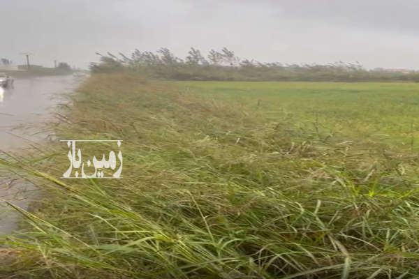 زمین ۱۰۰۰ متر بر جاده اصلی روستای اسلام محله-1