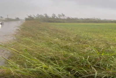 زمین ۱۰۰۰ متر بر جاده اصلی روستای اسلام محله