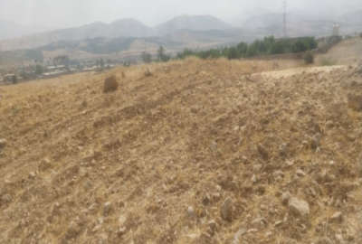 زمین ۷۰۰ متر کشاورزی جنب طرح هادی بوستان بالاتر