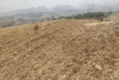 زمین ۷۰۰ متر کشاورزی جنب طرح هادی بوستان بالاتر