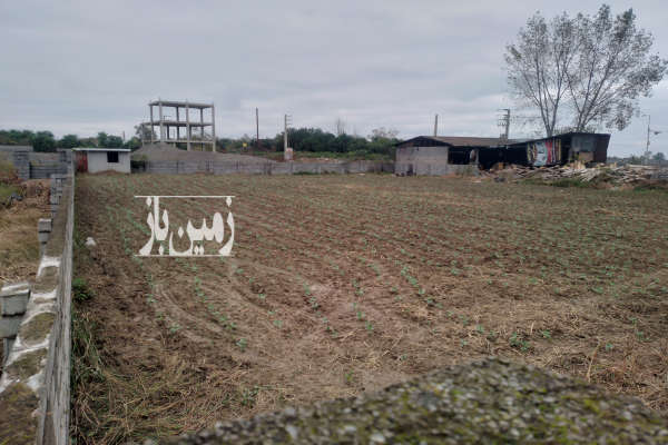 زمین ۱۸۰۰متر کمربندی امام زاده عبدالله امل-1