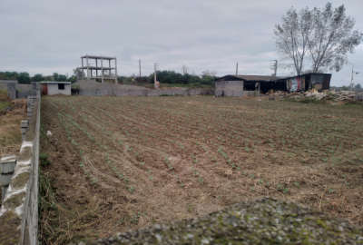 زمین ۱۸۰۰متر کمربندی امام زاده عبدالله امل