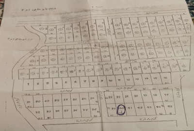 زمین سقز شهرک تازه آباد دیم باوه ۲۱۰ متر