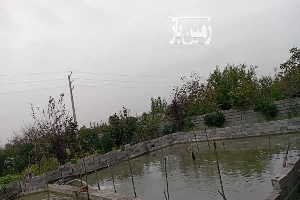 باغ مرکبات جاده قائمشهر روستای هریکنده ۳۸۰ متر-2