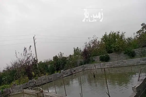 باغ مرکبات جاده قائمشهر روستای هریکنده ۳۸۰ متر - تصویر 2
