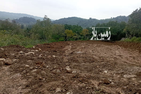 زمین ۴۰۰ متر بندپی غربی روستای دیوا جنگلی-2