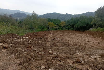 زمین ۴۰۰ متر بندپی غربی روستای دیوا جنگلی