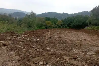 زمین ۴۰۰ متر بندپی غربی روستای دیوا جنگلی