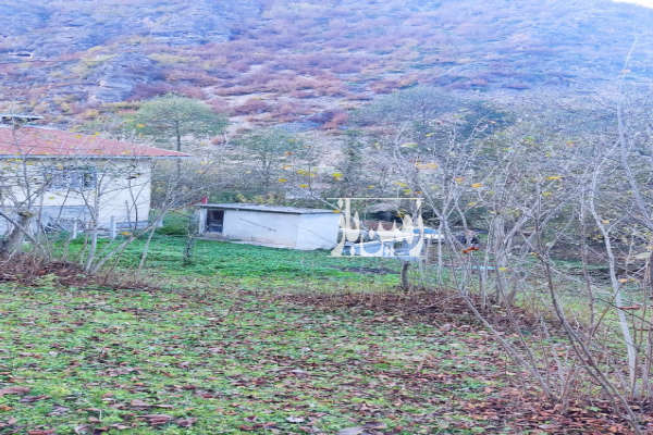 زمینی ۸۴۰ متر جنت رودبار چورته جیرود-1