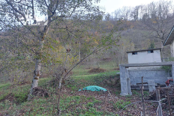 زمینی ۸۴۰ متر جنت رودبار چورته جیرود-2